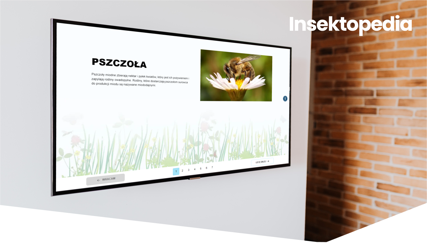 Insektopedia