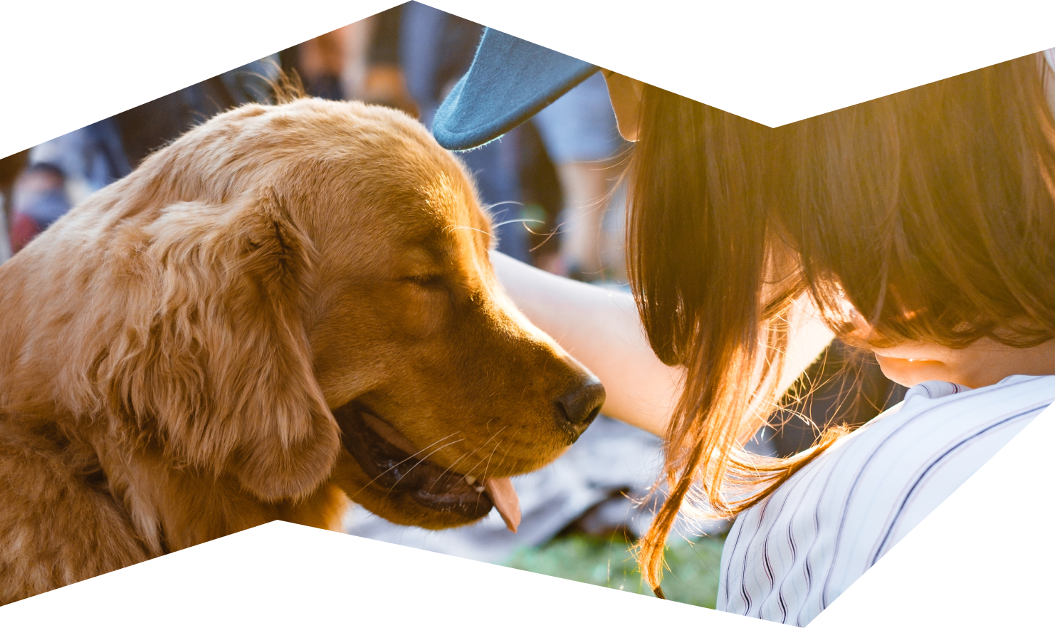 WalkieDoggie showcase